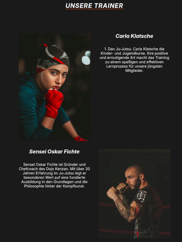 Detailansicht Ju Jutsu-Homepage